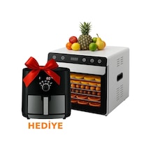 Dalle Ss-06a Paslanmaz Meyve Sebze Kurutma Makinesi + Airfryer