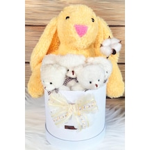 Özel Kutuda, Sarı Jellycat Tavşan, 5 Beyaz Ayıcık Pamuk Çiçeği Dokunuşlu, Özel Ayıcık Buketi