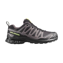 Salomon Xa Pro 3d V9 Gtx Erkek Outdoor Ayakkabısı L47987300 Siyah Siyah