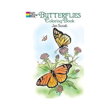 Butterflies Coloring Book