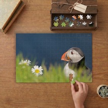 Doğada Papağan Tasarımı 240 Parça Ahşap Puzzle Ahşap Kutuda Mpy60003