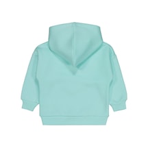 Mint Yeşili