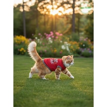 Kırmızı Renkli Patili Aşk Baskılı Kedi Ve Köpek Kıyafeti Tişörtü Elbisesi Small/s/beden 1