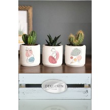Pastel Kedi Kedi Desenli Saksı Set- Küçük Boy Sukulent Saksısı Hediyelik Kalemlik