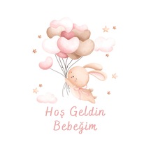 Diğer