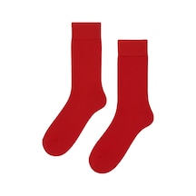 Carnaval Socks Kırmızı Renkli Pastel Tasarım Çorap Çok Renkli
