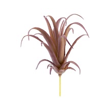 Yapay Tüylü Tillandsia Sukulent Lila 17 Cm-10912
