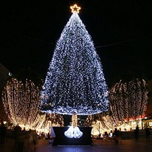 Periboia 100 Ledli Beyaz Yılbaşı Ağacı Işığı Led Ampül