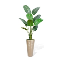 Yapay Ağacı Dore 57cm Uzun Kumsal Vazoda Muz Ağacı Yapay Starliçe 195cm 10 Yaprak