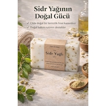 Sidr Ağacı