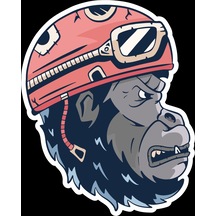 Motorcu Goril Sticker 10x10 Cmrenkli Sticker