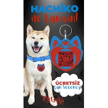 Petjoo 19.Hachiko Kırmızı-Mavi Qr'lı Köpek Künyesi