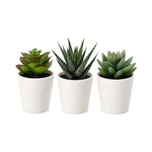 Fejka Yapay Saksı Bitkisi Saksılı İç Mekan Dış Mekan Etli / 3'lü Paket Boyutu 2 ¼ " 3'lü Paket 203.953.31 50 x 22