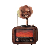 Şömineli Gramofonlu Radyo Rt-651