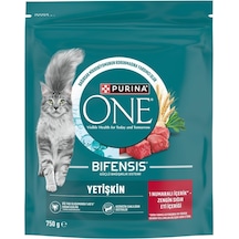 Purina One Sığır Etli Yetişkin Kedi Maması 750gr