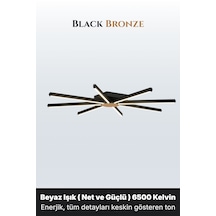 Beyaz Işık