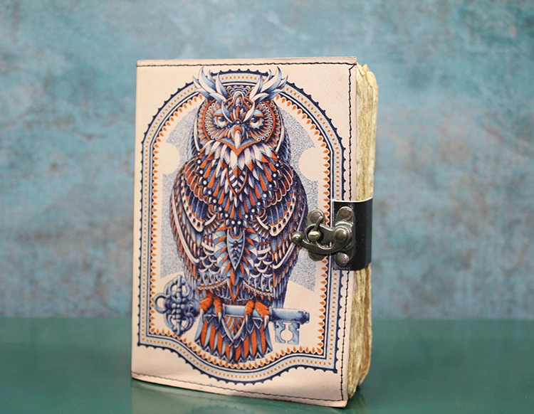 River World Seri C Defter Deri Baykuşlu Çok Renkli