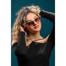 Bern 304 C177 002d