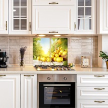 2' li 40x52 cm Limon Sepeti Desenli Cam Kesim Tablası ve Ocak Kor