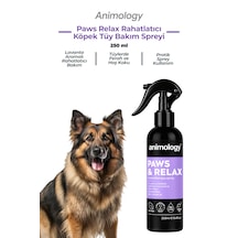 Animology Paws Relax Rahatlatıcı Köpek Tüy Bakım Spreyi 250 Ml - Lavanta Aromalı Rahatlatıcı