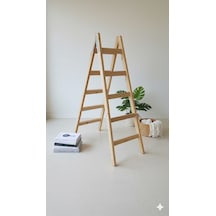 Standart Model