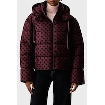 Bordo