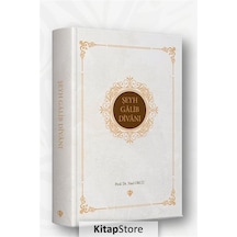 Şeyh Galib Divanı - Şeyh Galip - Türkiye Diyanet Vakfı Yayınları