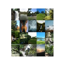 Orman Fairycore Cottagecore Poster Seti- 20 Adet A5