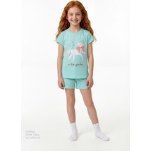 Mint Yeşili