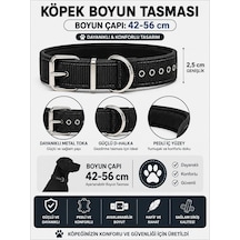 Pedli Köpek Boyun Tasması 42-56 Cm 2,5 Cm Dokuma Naylon Metal Tokalı - Siyah Çok Renkli