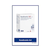 Kondromin Art 90 Tablet