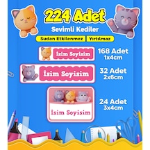 Sevimli Kedi Temalı Okul Kreş Kişiye Özel İsim Etiket Seti - Model 160 Çok Renkli