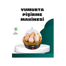 Çok Renkli