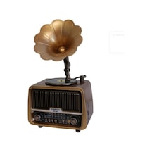 Everton Rt-601 Gramafonlu Bluetooth Fm-usb-tf-aux Şarjlı Nostaljik Radyo