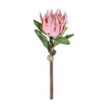 Yapay Çiçek Protea Çiçeği Kırmızı 60 Cm. Çok Renkli