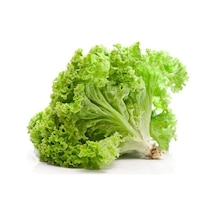 Kıvırcık Marul Tohumu 10GR