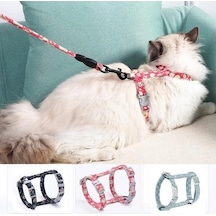 Kedi Gezdirme Göğüs Tasması Çok Renkli