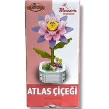 Oceanfour 103 C5 Atlas Çiçek Blok Oyuncak