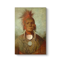 Ayrex George Catlin - Medicine Man Kanvas Tablo 30 X 45 Diğer