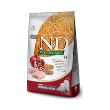N&D Puppy Tavuklu ve Narlı Düşük Tahıllı Orta ve Büyük Irk Yavru Köpek Maması 2500 G