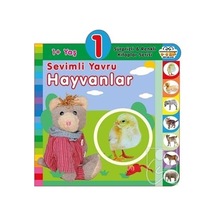 1+ Yaş Sevimli Yavru Hayvanlar