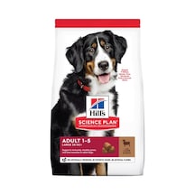 Hill's Kuzu Etli Büyük Irk Yetişkin Köpek Maması 14 KG