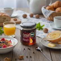 Fanus Organik Süzme Kestane Balı 225 G