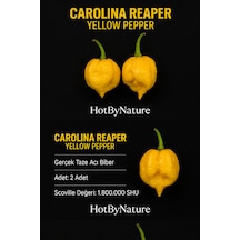 Carolına Reaper Yellow Pepper / 1.8 Milyon Scoville - Gerçek Taze Acı Biber