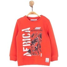 Erkek Çocuk Pamuklu Aslan Baskılı Sweatshirt-11226-mercan