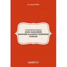 Uluslararası Hukukun Genel İlkelerinin Ekonomik Kalkınma Üzerindeki Etkileri