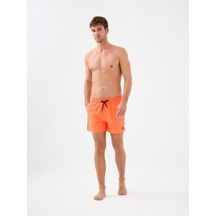 Neon Orange