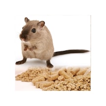 1 Kg Hamster Yemi