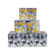 9 Parça Altın Kömür Blok