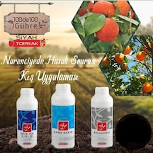 Narenciye Ağaçlarında Hasat Sonrası Kış Uygulaması Seti